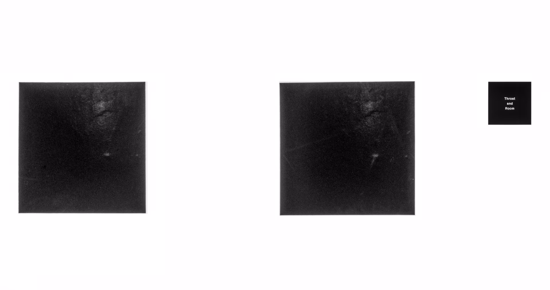 Black Photos and Poems — view 4 of 21